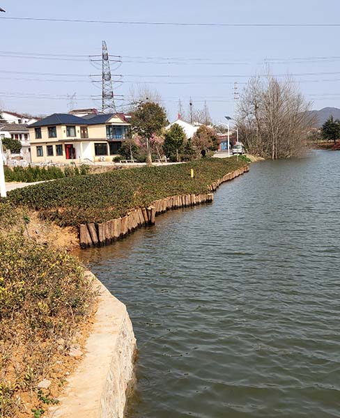 浙江河道木桩