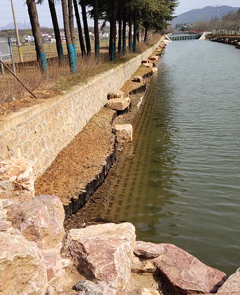 浙江河道木桩