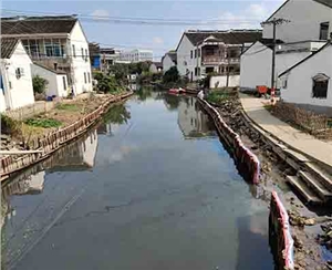 浙江浙江河道木桩