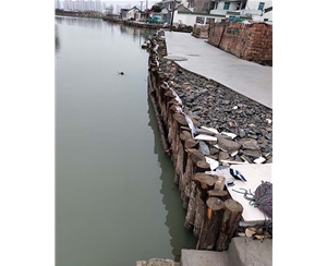 浙江浙江河道木桩