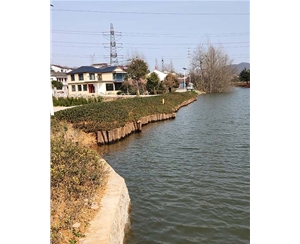 浙江浙江河道木桩