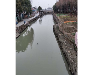 浙江浙江河道木桩