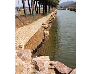 浙江浙江河道木桩