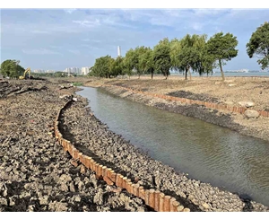 浙江吴江区水系连通及农村水系综合整治试点县 2021 年度工程（一期）设计施工一体化项目